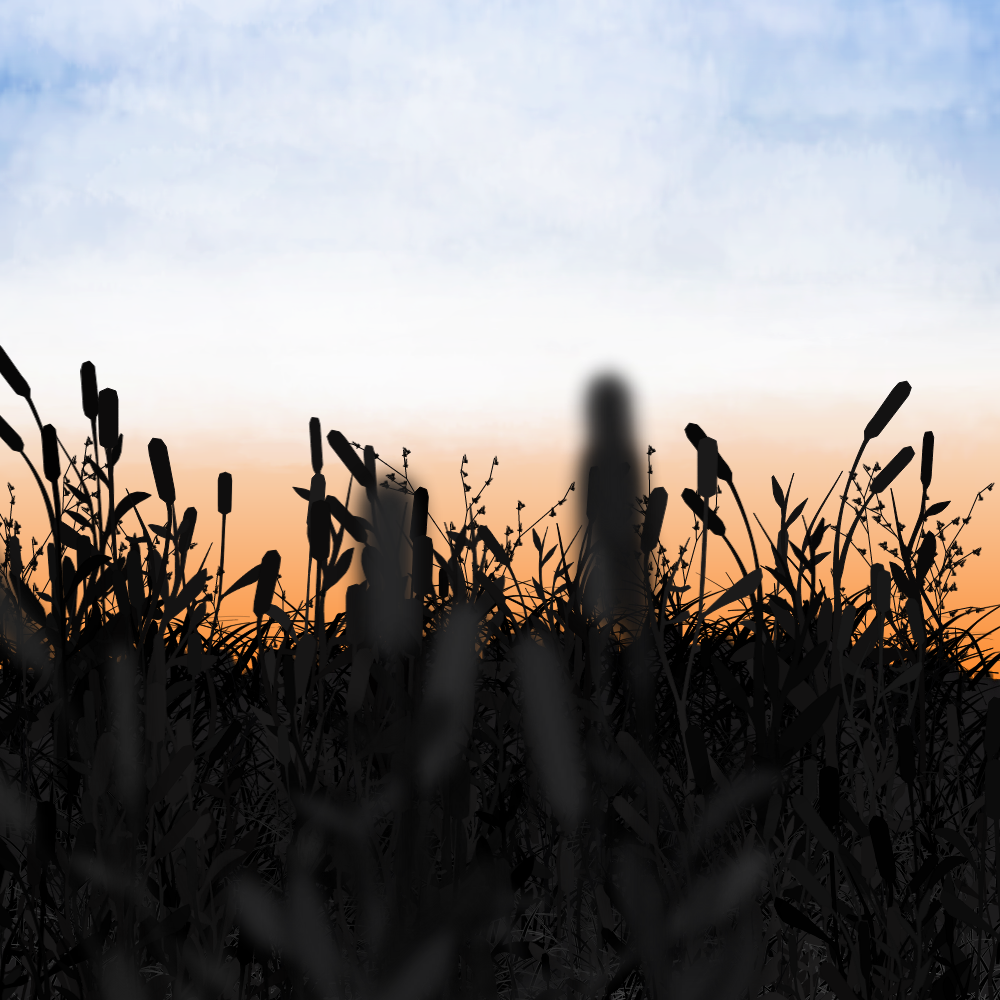 Walk in the field #8 static token preview