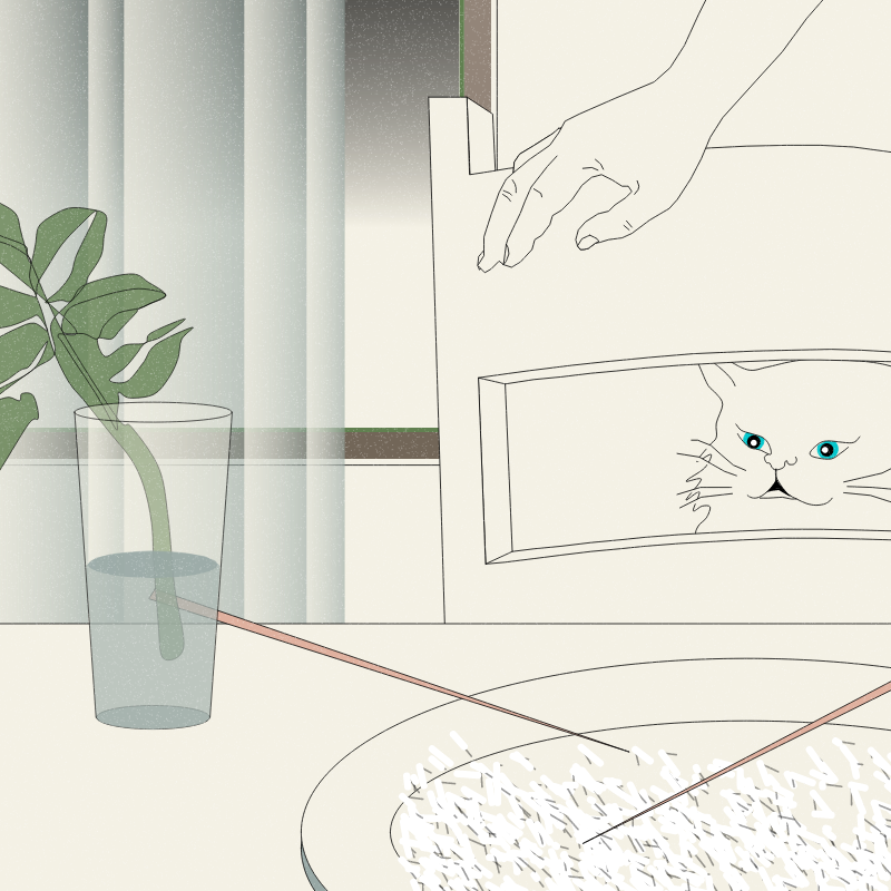 Still Life #6 #13 static token preview