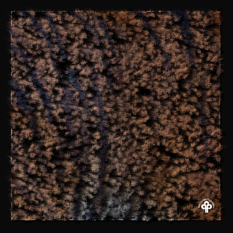 (re)generative tigers #13 static token preview