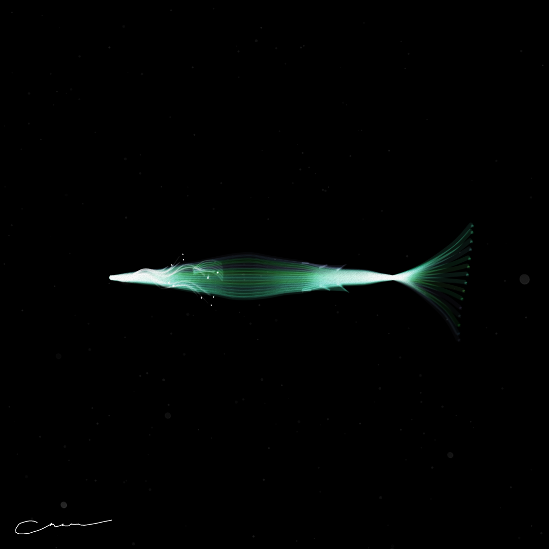 SoulFish #247 static token preview