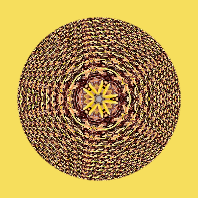 Kaleidoscopic Unsalted Olive Bowl static project preview