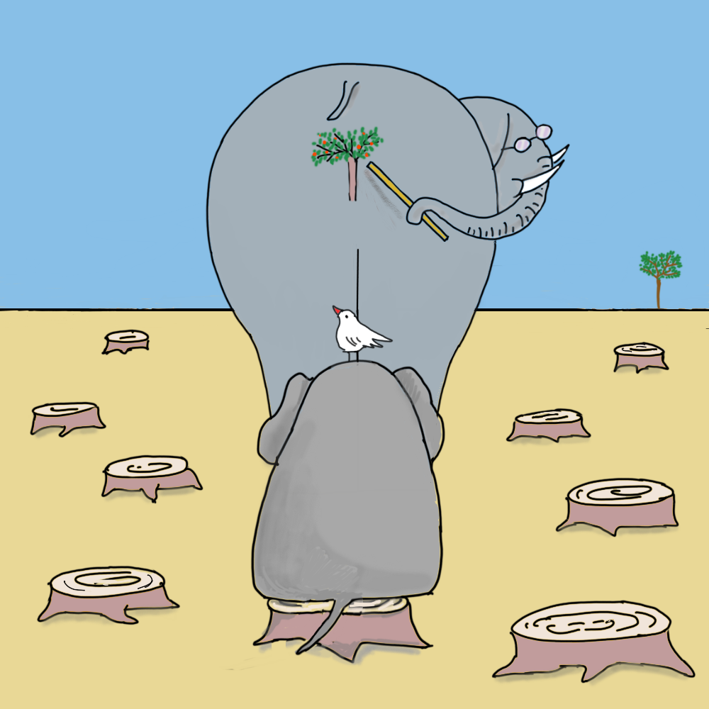Elephant school #6 static token preview