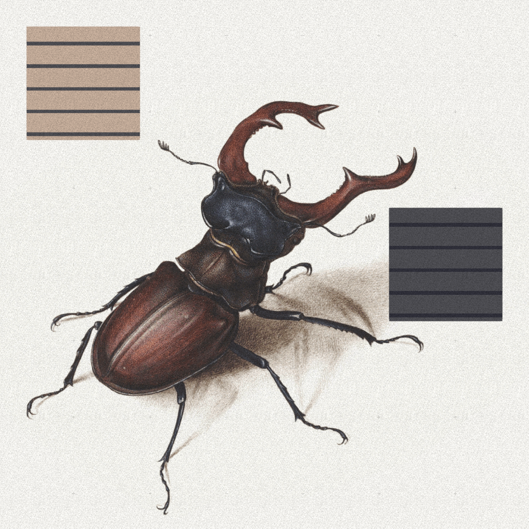 Beetle #7 static token preview