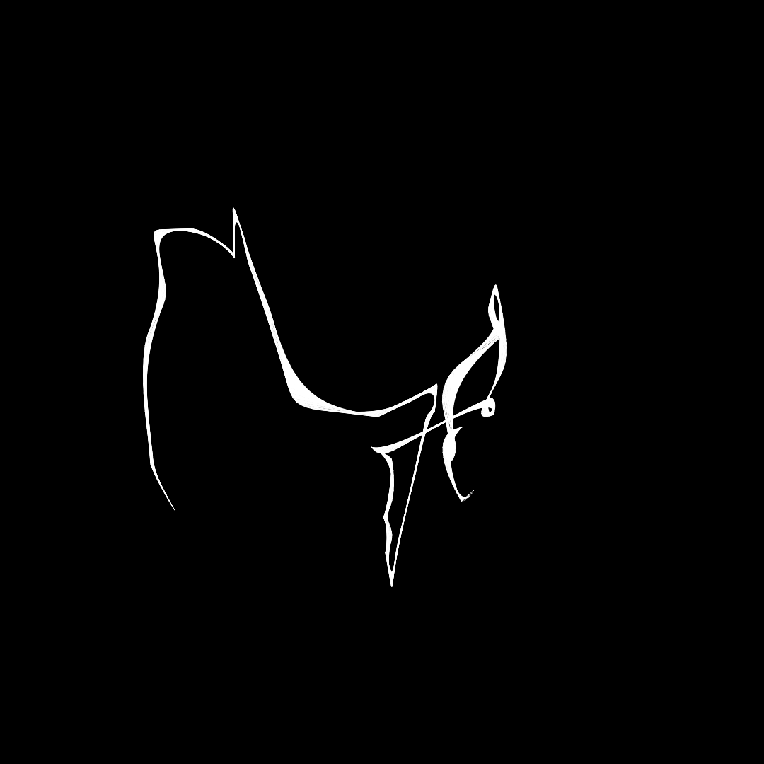 What do you see? #2 static token preview