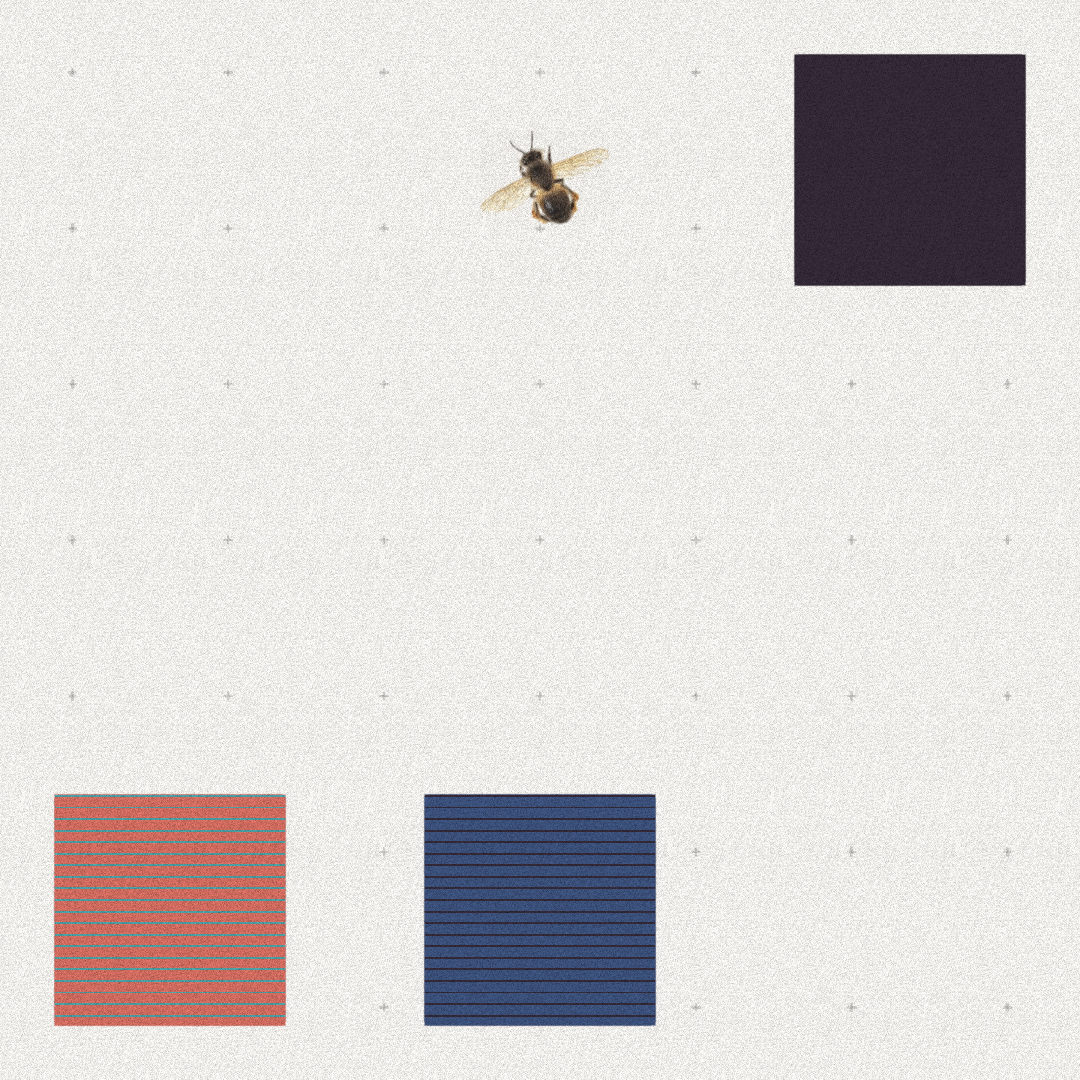 Bee #2 static token preview