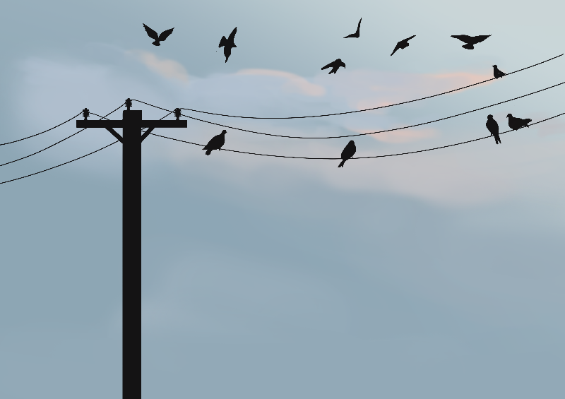 Online Birds #1 static token preview