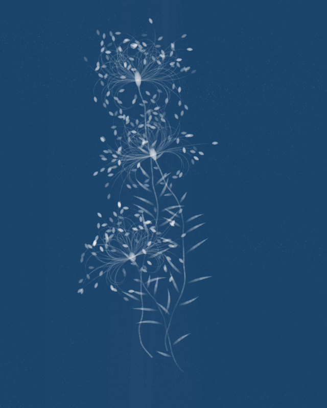 Cyanotypes #16 static token preview