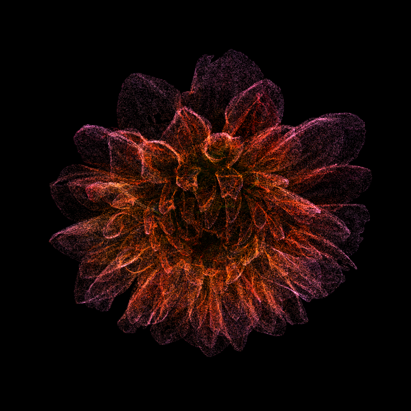Dahlia Pinnata 30 #2 static token preview