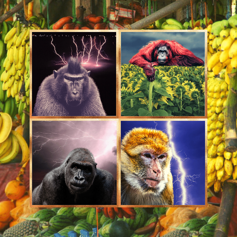 Banana legends #16 static token preview