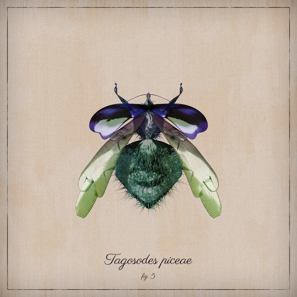 ProcGen Entomology #19 static token preview
