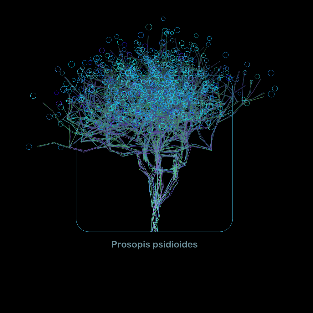 Fluidynamix - Trees #52 static token preview