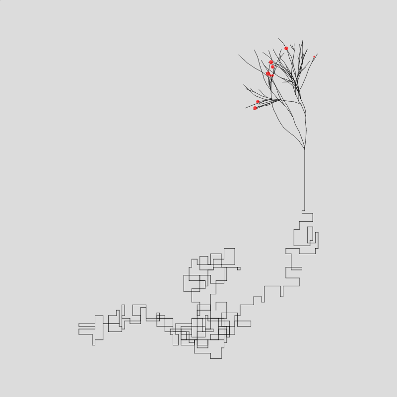 Algorithmic Tree #2 static token preview