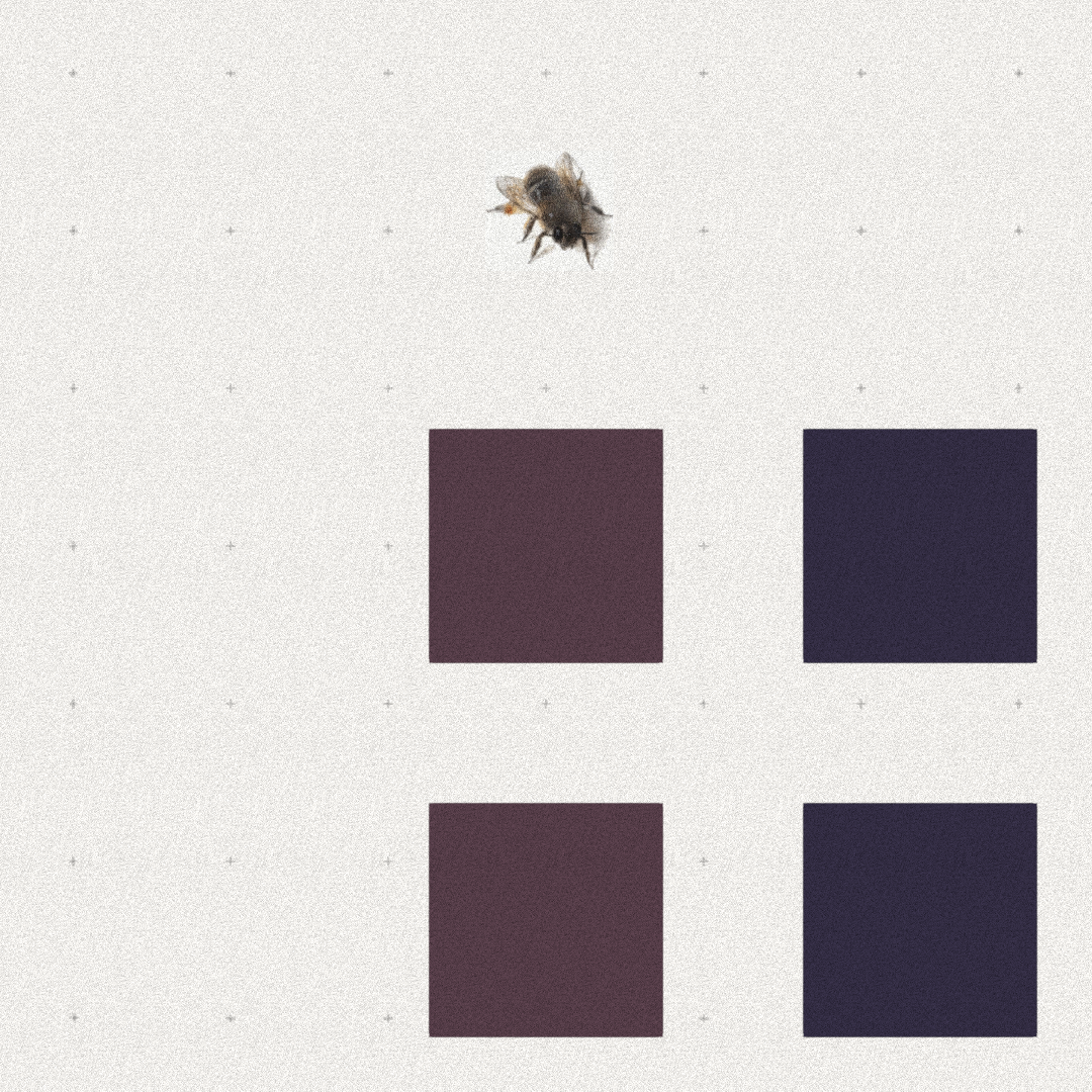 Bee #109 static token preview