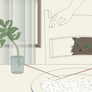 Still Life #6 project preview