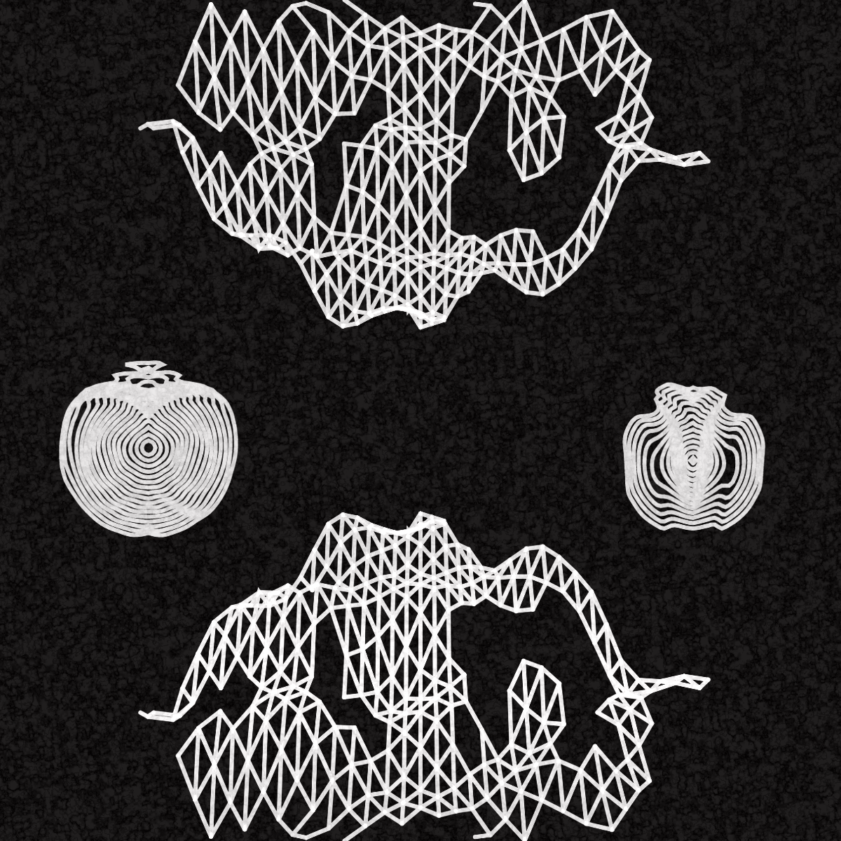 Plottable Wireframe (8 frames) #39 static token preview