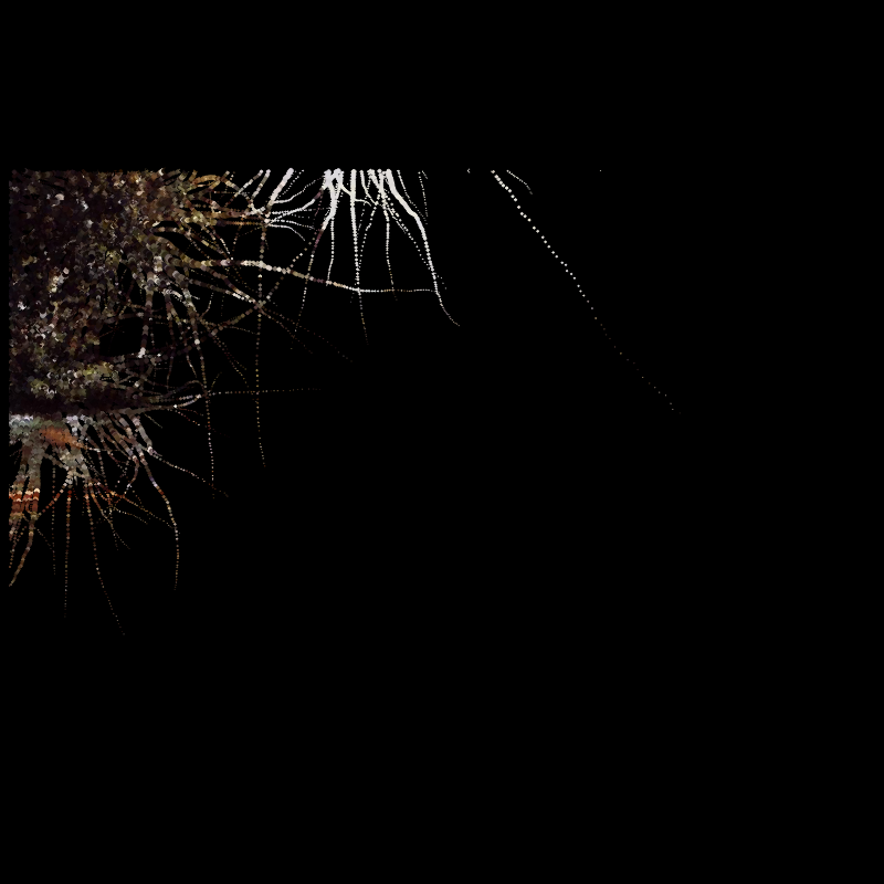 Gustave Caillebotte #8 static token preview