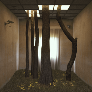 Everlasting forest project preview