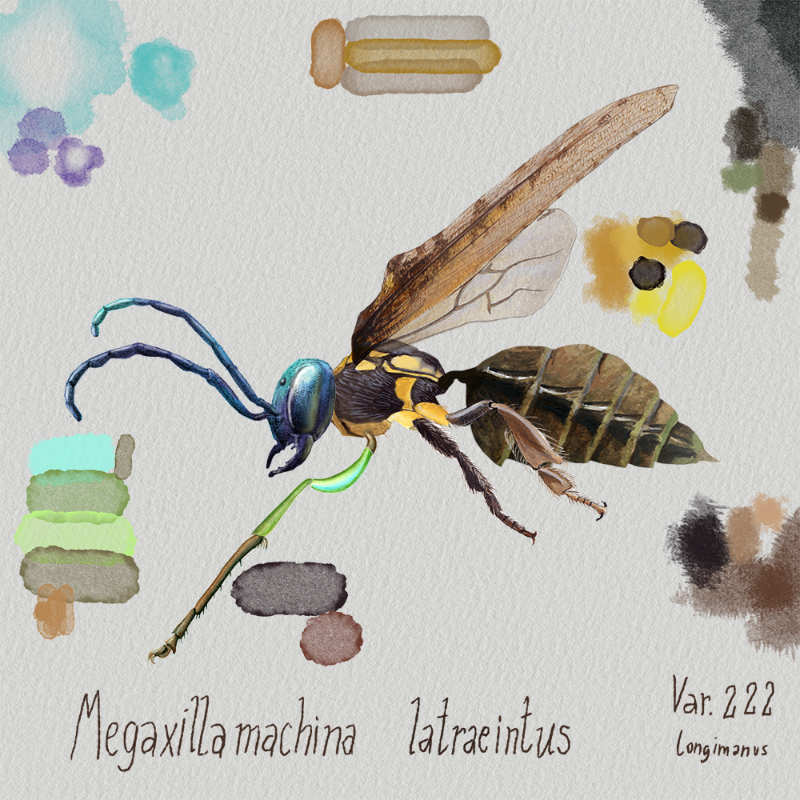 Randomic Brazilian Insects 1 #5 static token preview