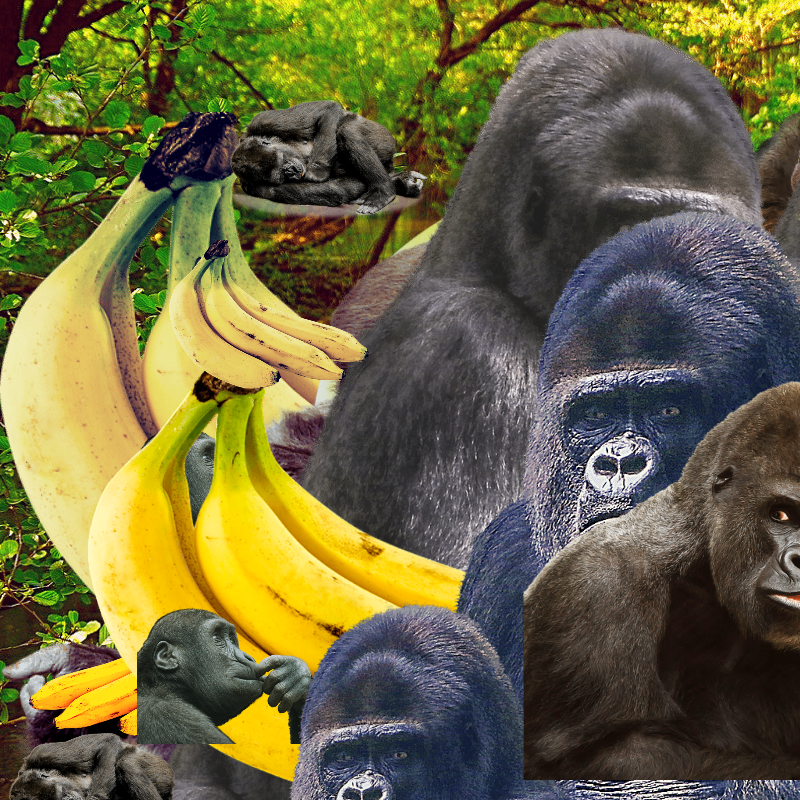Banana #1 #3 static token preview