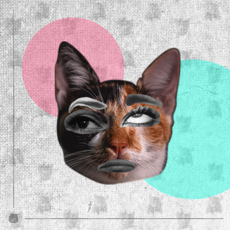 Kittenstein #18 static token preview