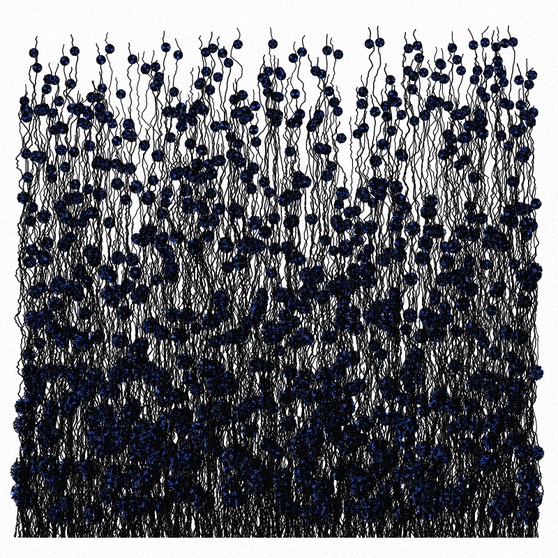 Cornflowers #7 static token preview