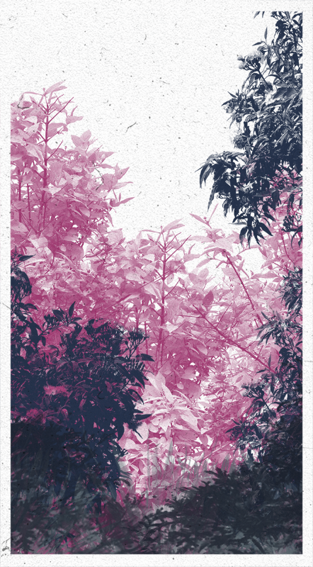 Life in the forest! #18 static token preview
