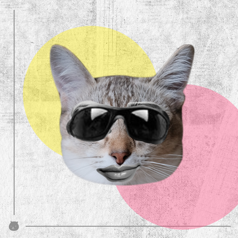 Kittenstein #8 static token preview