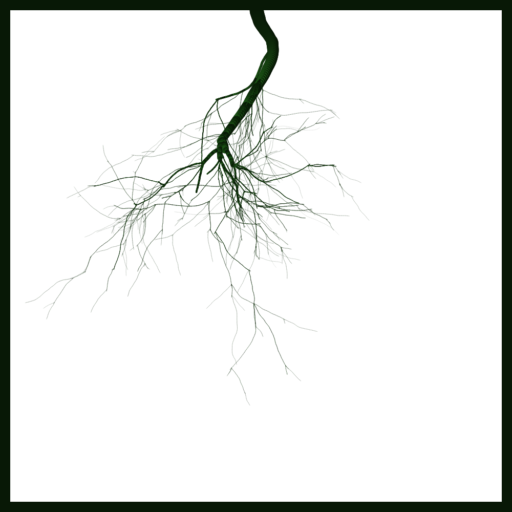 Arbres suspendus #18 static token preview