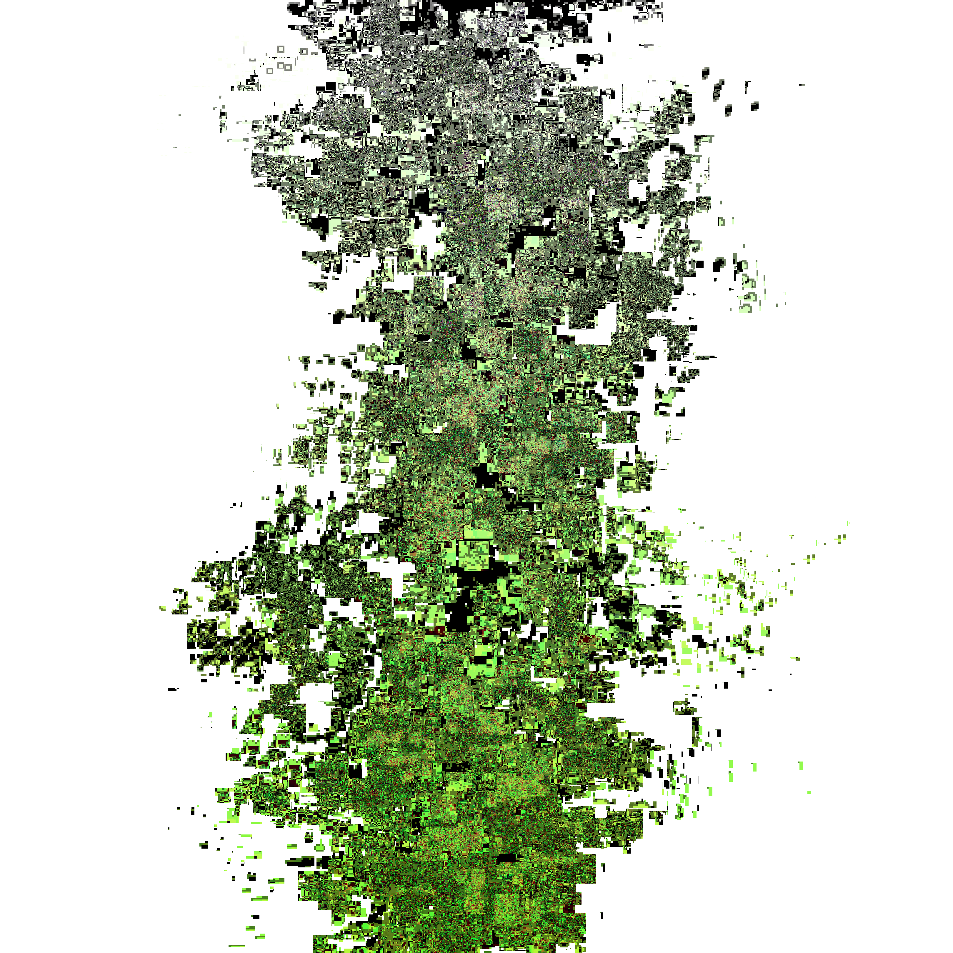 Entropy-Locked Recursive Glitch Textures #9 static token preview