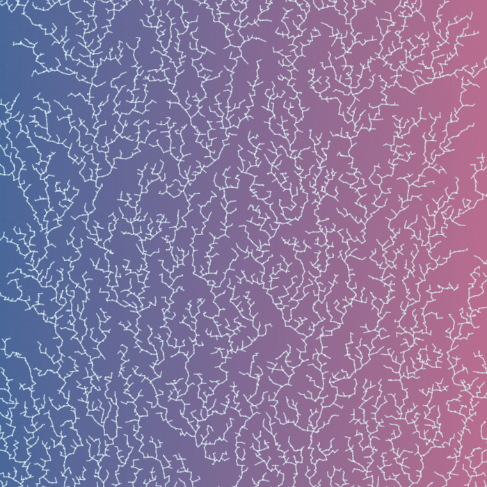 Frozen Windows #6 static token preview