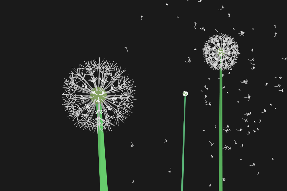 Interactive Seeds #8 static token preview