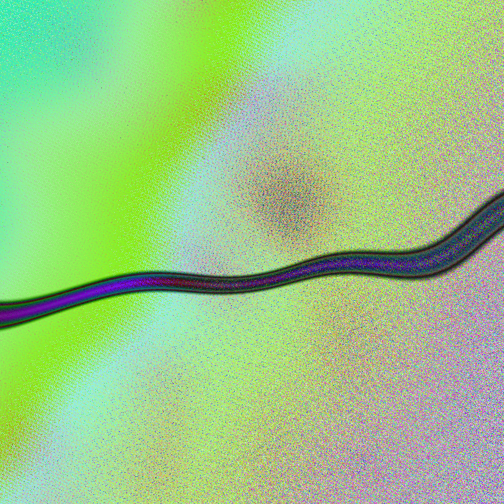 The Imaginary River Of Thoughts #28 static token preview