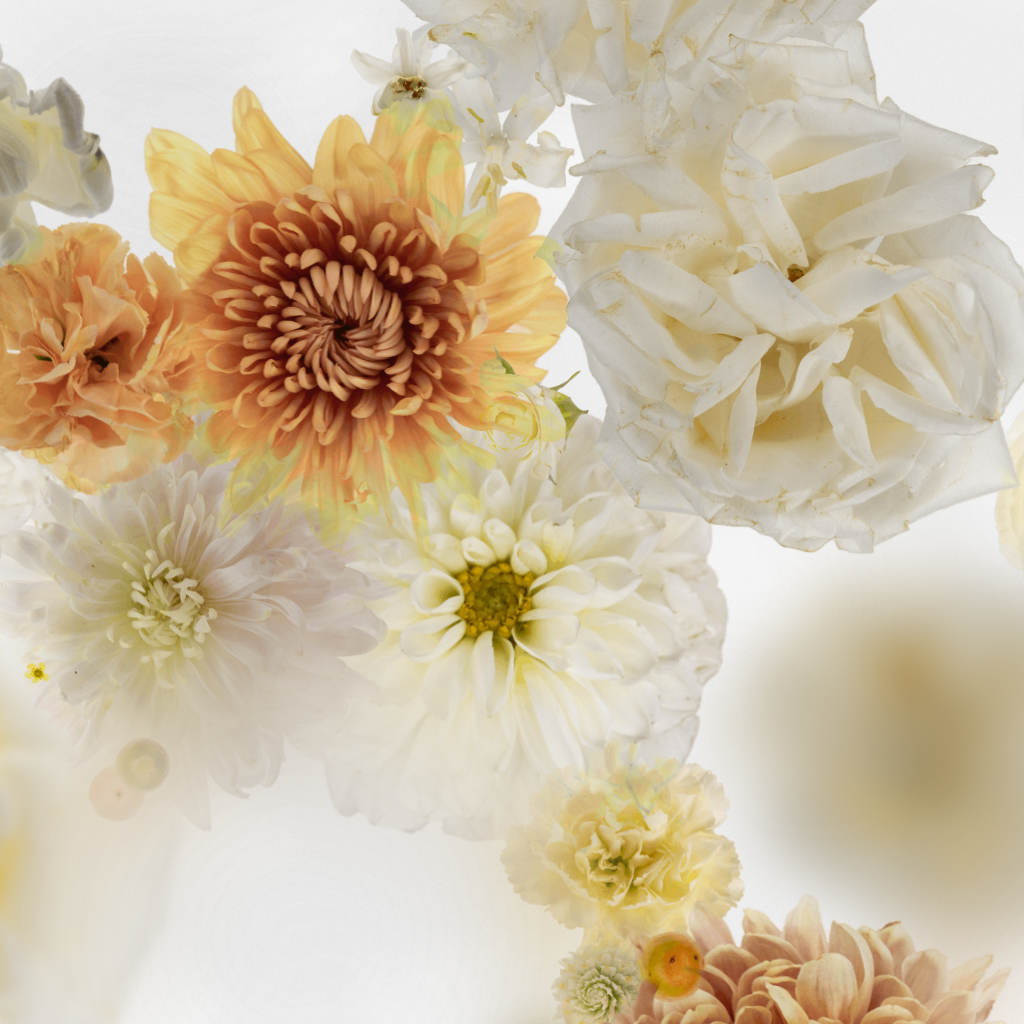 Broken Flowers #1 static token preview