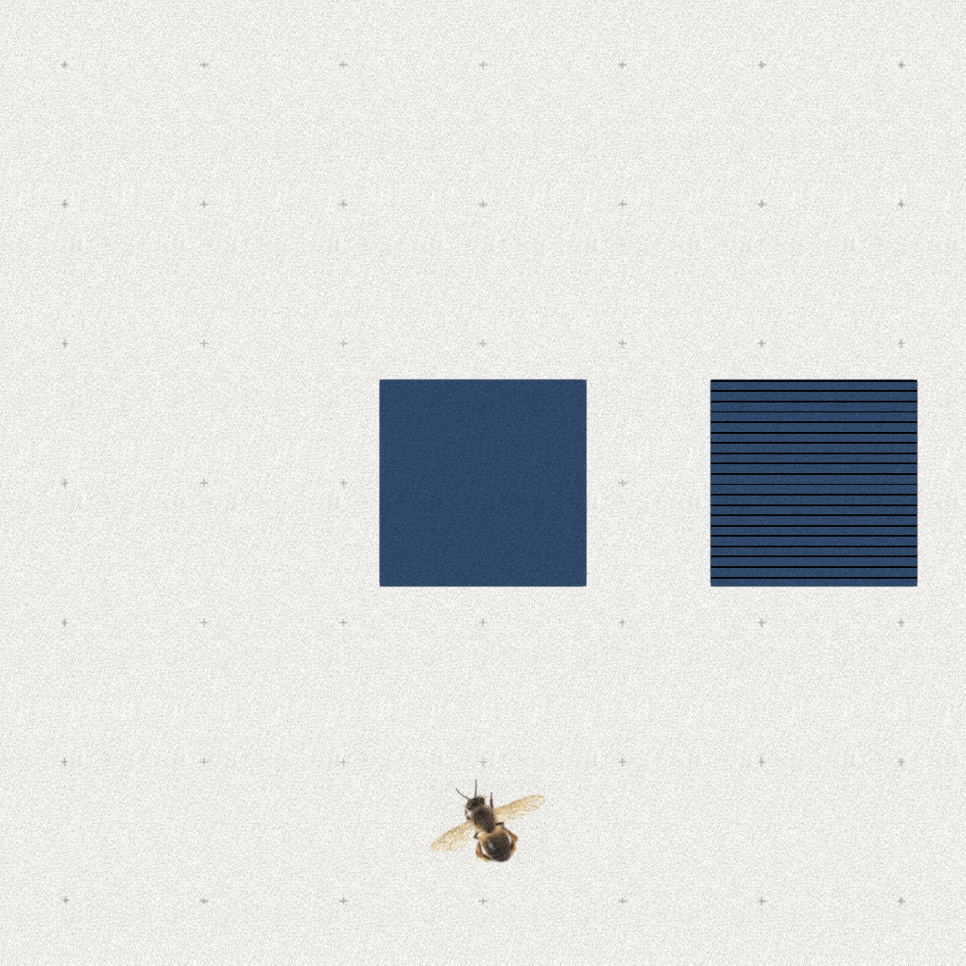 Bee #28 static token preview