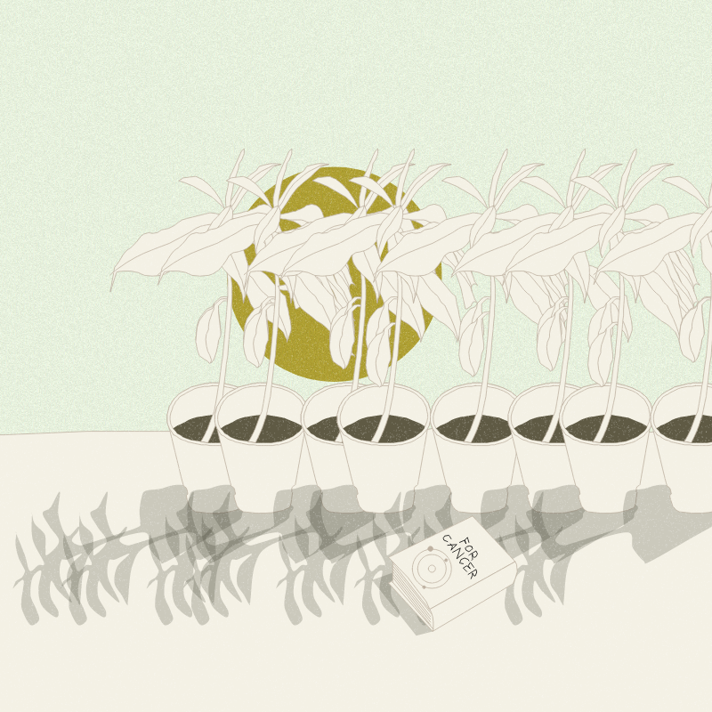 Still Life #12 #2 static token preview