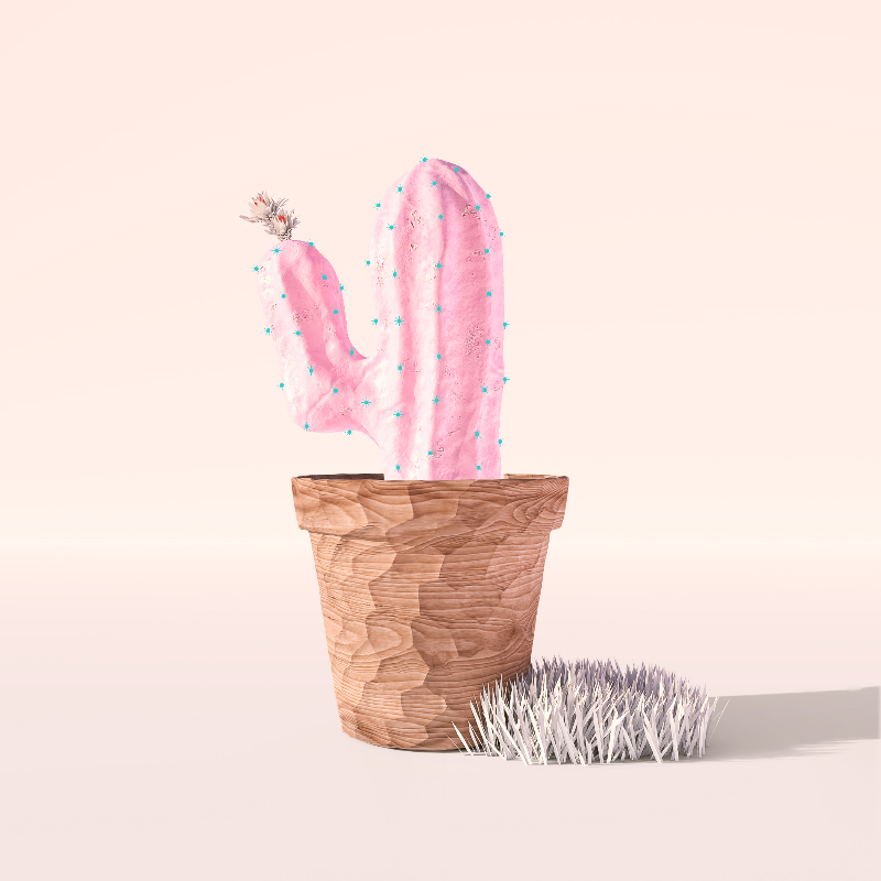 3D Crypto Cacti #17 static token preview