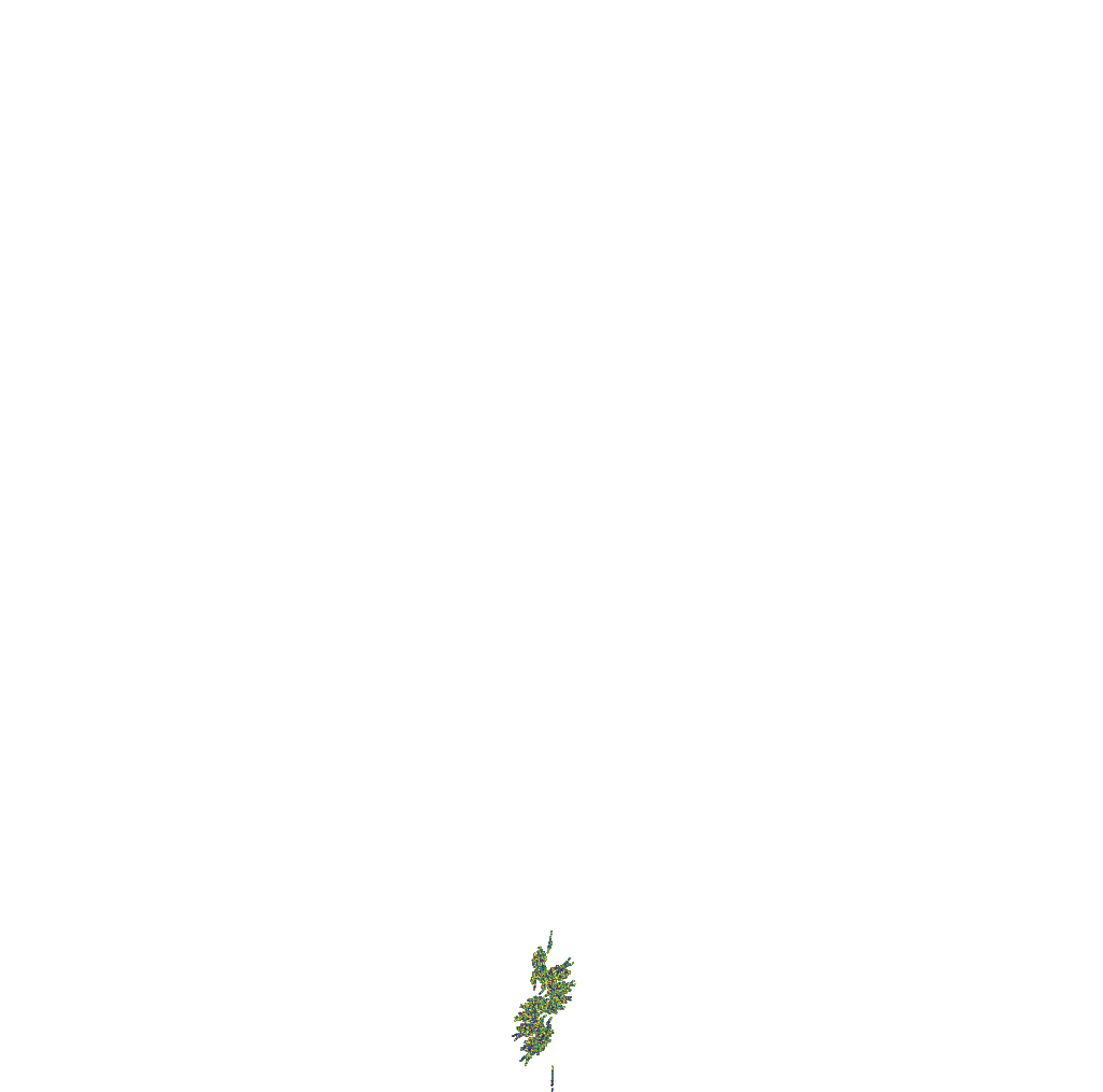 Fern Blooming #9 static token preview
