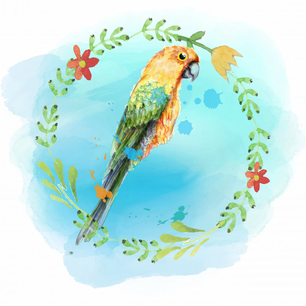 Random Tropical Birds #9 static token preview