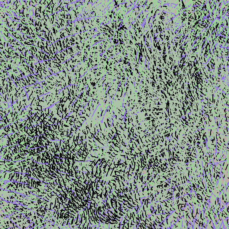a bird worked on my painting #19 static token preview