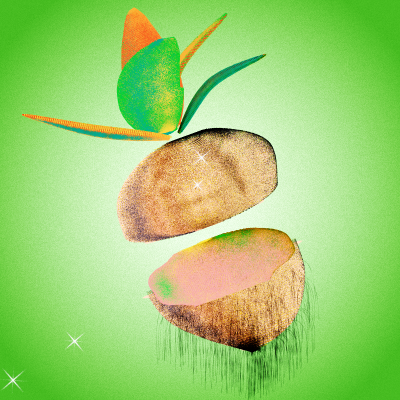 Fresh Fruit #17 static token preview