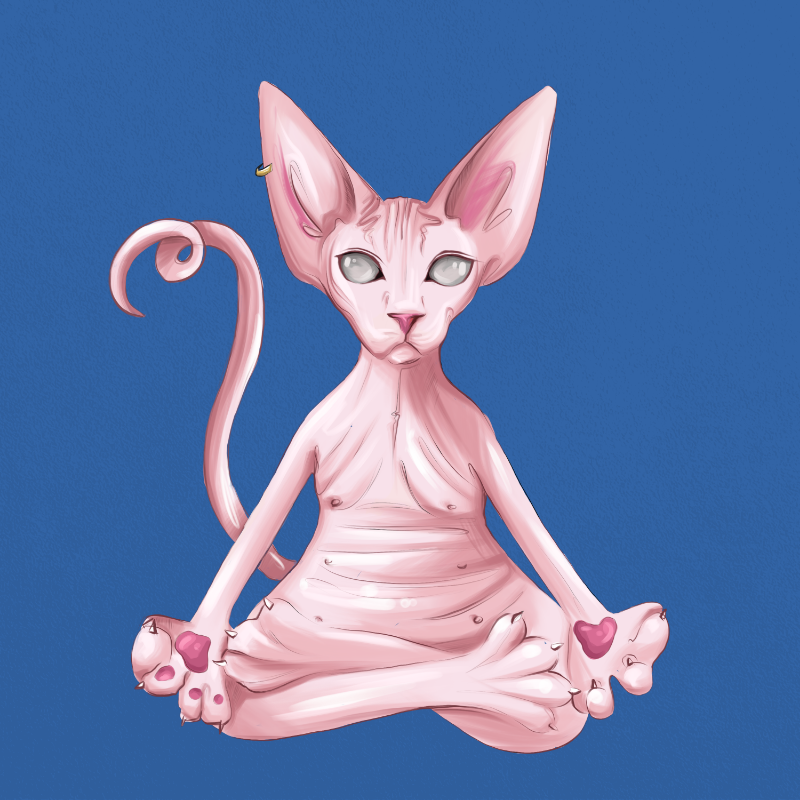 YogaCat #13 static token preview