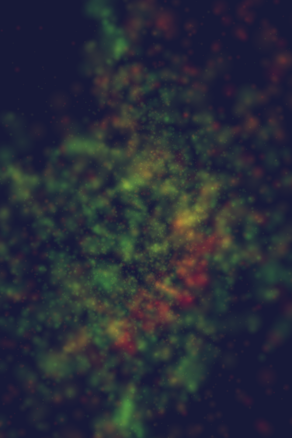 Orchestrated Chaos #12 static token preview