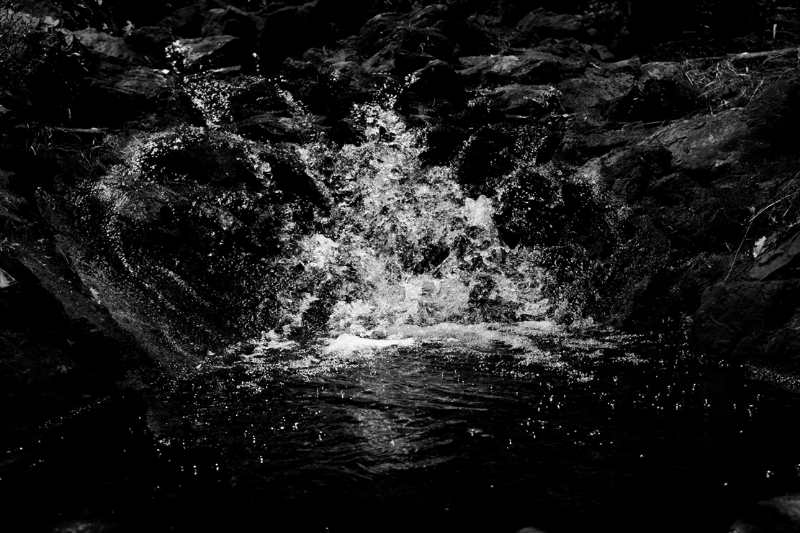 chasing waterfalls #3 static token preview