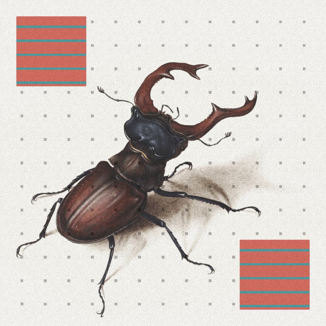 Beetle #10 static token preview