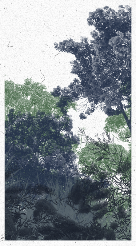 Life in the forest! #17 static token preview