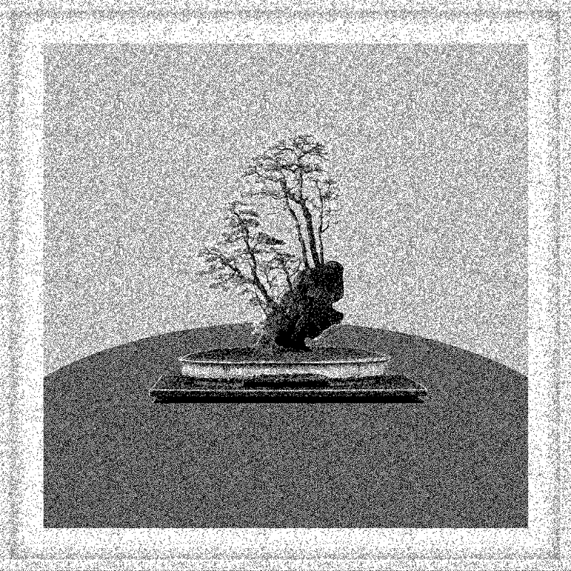 Bonsai Bonanza #22 static token preview