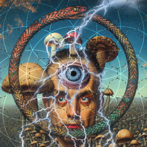 BLOTTER project preview