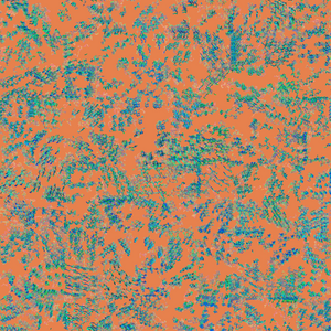 Randomness project preview