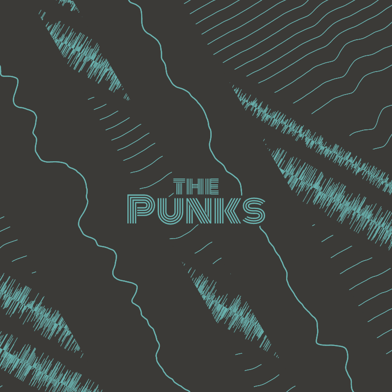 the Punks Merch - Album Covers #22 static token preview
