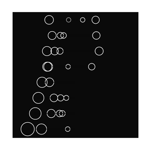 The Echo Chamber project preview